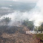 Ilustrasi Kebakaran Hutan