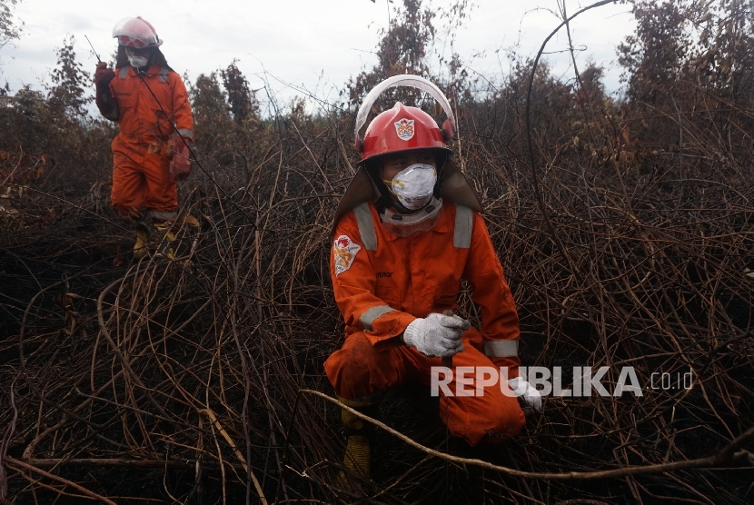 Tim Cegah Api Greenpeace melakukan pegecekan lokasi titik asap di kawasan lahan gambut warga di sungai Besar, Ketapang, Kalbar, Ahad (17/9).