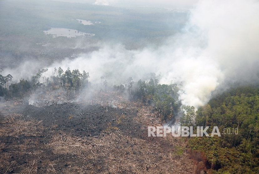Ilustrasi Kebakaran Hutan