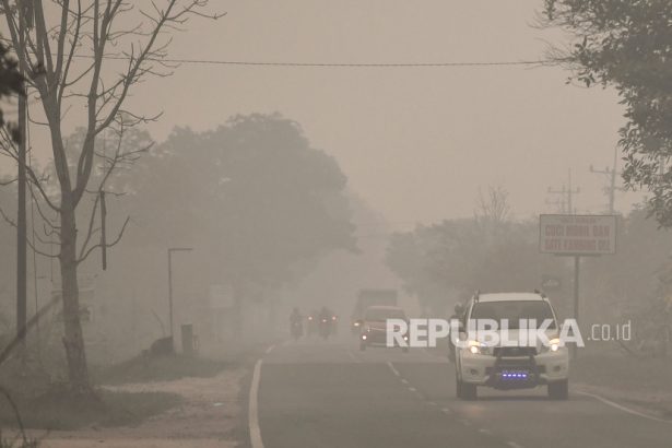Kendaraan melintas di Jalan Trans Kalimantan yang diselimuti asap di daerah Panarung, Palangka Raya, Kalimantan Tengah, Selasa (17/9/2019).