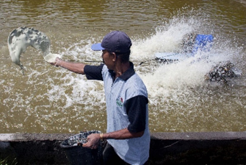 Tambak ikan (ilustrasi)