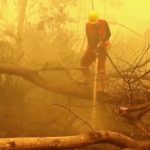 Upaya petugas memadamkan kebakaran hutan dan lahan (Ilustrasi)
