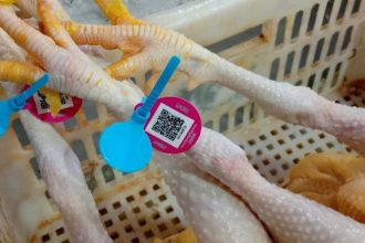 Pemanfaatan Teknologi Kode QR di Pasar Luo Jia Zhuang