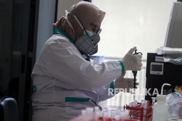 Dokter patologi klinik memeriksa sampel media pembawa virus Corona. (Ilustrasi)