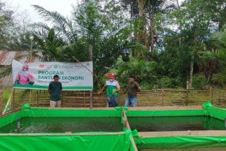 Relawan Desa Berdaya Tri Kembang, Darwil Putra melakukan kunjungan rutin sekaligus menyalurkan bantuan pakan untuk ternak ikan lele yang diserahkan langsung kepada ketua kelompok budidaya ternak ikan lele di Dusun Kembayat dan Dusun Sagang, Desa Tri Kembang, Kabupaten Sambas, Ahad (12/9).